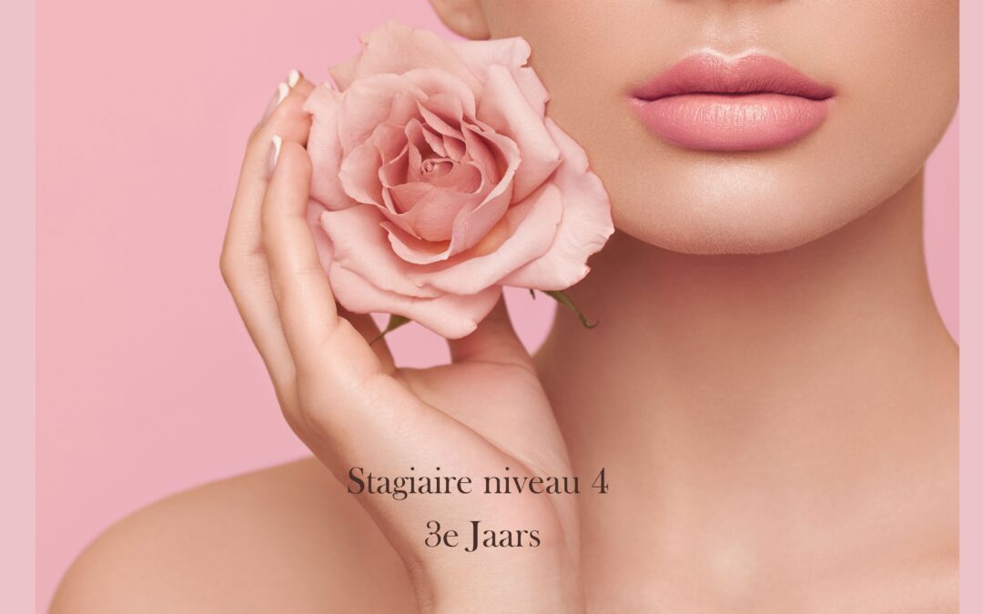 Stagiaire Niveau 4 ( 3e jaars )